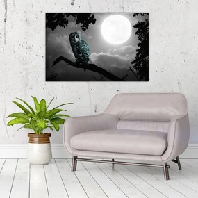 Tablou - Bufniță de noapte, albastru (90x60 cm)