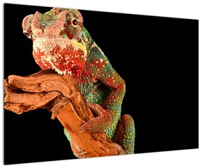 Tablou cu cameleon pe creangă (90x60 cm)