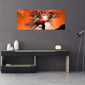 Tablou - Fag la apus de soare (120x50 cm)