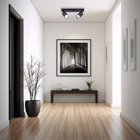 Spot 2xGU10/35W/230V negru