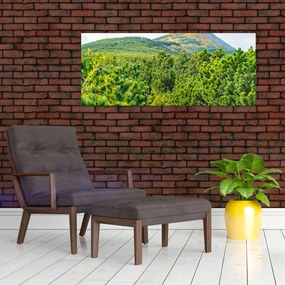 Tablou - Babi Hora, Polonia (120x50 cm)