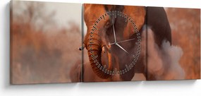 Tablou - Marele elefant african (cu ceas) (90x30 cm)