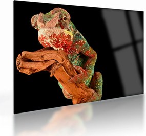 Tablou pe sticlă cu cameleon pe creangă (70x50 cm)