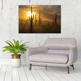 Tablou - Cactuși Saguaro (90x60 cm)