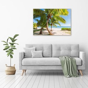 Pictură pe pânză Plaja tropicala