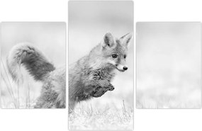 Tablou - Vulpe care sare,alb-negru (90x60 cm)