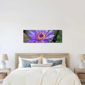Tablou - Floare violet (cu ceas) (90x30 cm)