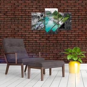 Tablou - Natura sălbatică (90x60 cm)