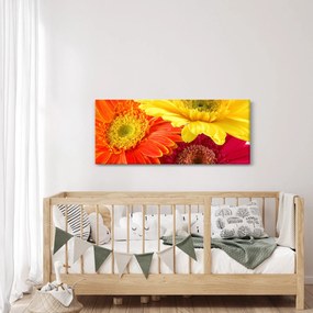 Tablou - Flori Gerbery (120x50 cm)