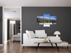 Tablou - munții înzăpeziți iarna (90x60 cm)