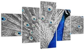 Tablou - păun albastru (125x70 cm), în 40 de alte dimensiuni noi