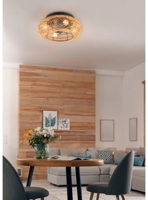 Plafonieră maro cu control prin telecomandă, cu ventilator Lillesand – Trio