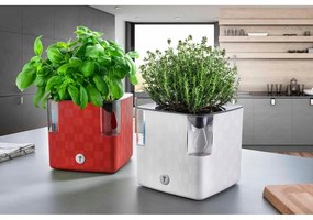 Ghiveci cu sistem de auto-udare Flower Lover Cobble, 14 x 14 cm, alb