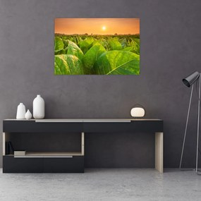 Tablou - Câmp (90x60 cm)