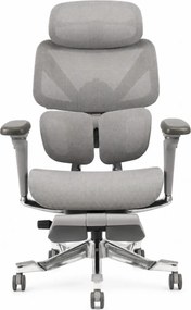 DeluxStar T2 ELITE PRO – Scaun Ergonomic Premium cu Suport Lombar Dual Dynamic 3D, Suspensie Air-Glide și Suport Complet Cervical – Spate – Lombar, Gri