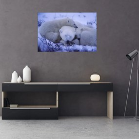 Tablou - Urși polari (90x60 cm)
