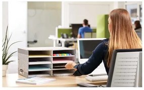 Raft pentru documente Fellowes Bankers Box - 8 compartimente, gri