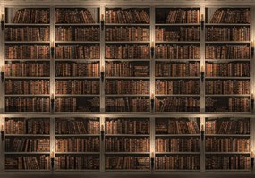 Fototapet - Biblioteca plină de cărți (254x184 cm)