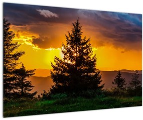 Tablou - coniferi (90x60 cm)