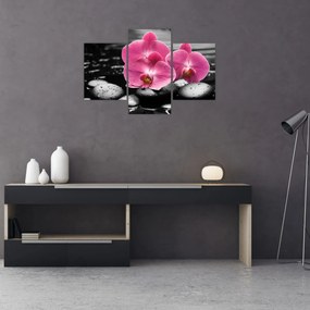 Tablou - Orhidee roz (90x60 cm)