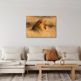 Tablou - Parcul Național Etosha (70x50 cm)