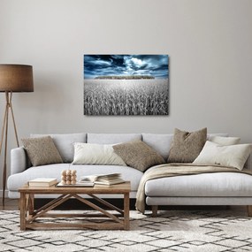 Tablou cu câmp (70x50 cm)
