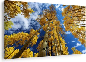 Tablou - Aspen (90x60 cm)