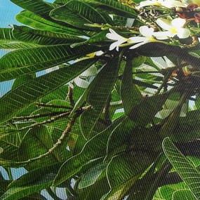 Tablou - Plumeria (cu ceas) (90x30 cm)