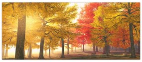 Tablou cu copaci toamna (120x50 cm)