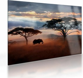 Tablou pe sticlă - Parcul Național Serengeti, Tanzania, Africa (70x50 cm)