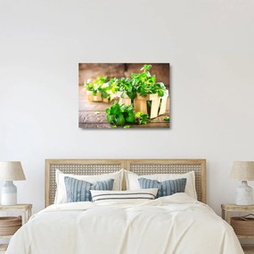 Tablou pe sticlă cu menta proaspătă (70x50 cm)