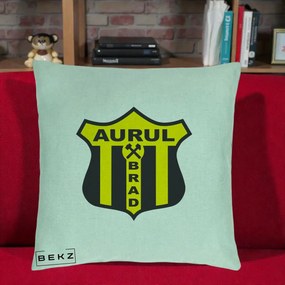 Perna Personalizata Aurul Brad Fotbal, 40x40 cm, Verde Menta, Husa Detasabila, Perna Inclusa, BEKZ®