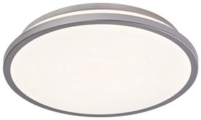 Plafonieră LED Ledvance ORBIS DUBLIN LED/16W/230V d. 29,5 cm