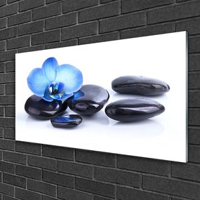 Tablouri acrilice Pietrele de flori Arta Albastru Negru
