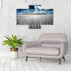 Tablou cu câmp (90x60 cm)