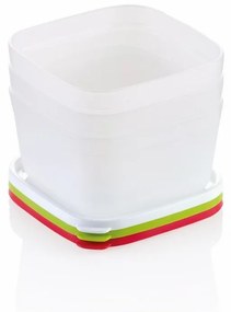Set caserole pentru congelator Tescoma PURITY 3 bucăți 0,5 l, 0,5 l