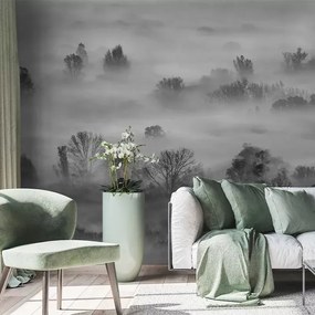 Tapet Foggy Landscape Grey, VLAdiLA