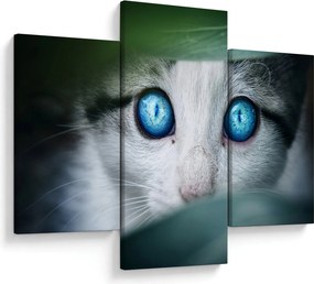 Tablou cu pisica (90x60 cm)