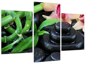 Tablou - Pietre și orhidee (90x60 cm)