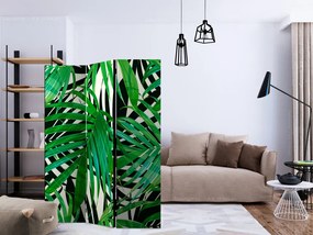 Paravan - Tropical Leaves [Room Dividers]