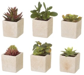 Plante artificiale 6 buc. (înălțime 9,5 cm) Cactus – Casa Selección