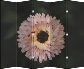 Paravan - Floare portocalie (210x170 cm)