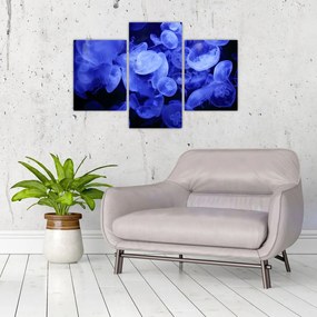 Tablou - Meduză (90x60 cm)