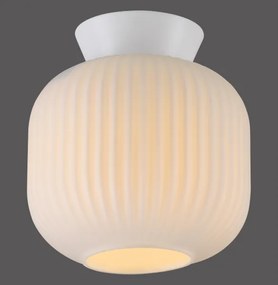 Schöner Wohnen 13574-16 - Plafonieră NAMI 1xE27/25W/230V, diam. 20 cm, albă