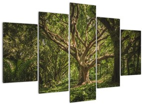 Tablou cu copaci (150x105 cm)