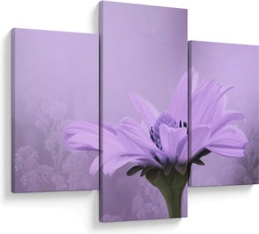 Tablou - Flori mov (90x60 cm)