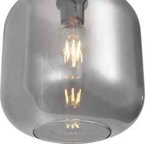Lampă suspendată de design din alamă cu sticlă fumurie pentru sistem de șină monofazat - Iconic Zuzanna