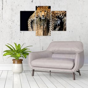 Tablou - Ghepard (90x60 cm)