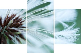 Tablou - Detaliu floare (90x60 cm)