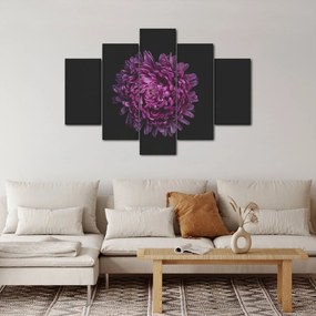 Tablou cu floare violetă (150x105 cm)